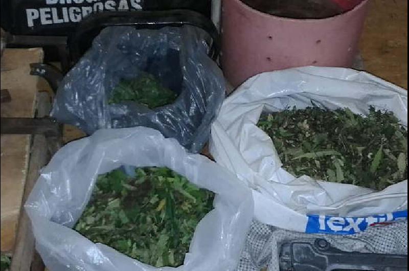 Desbarataron Una Banda Narco Que Ten A Plantaci N De Marihuana Tras