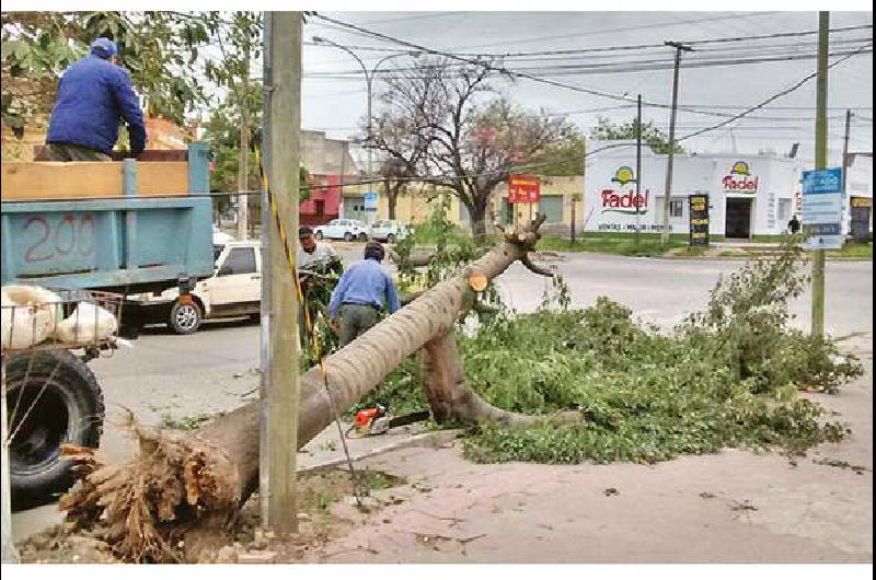 Un Fuerte Viento Derrib Rboles Y Ramas En La Ciudad Ante La Llegada