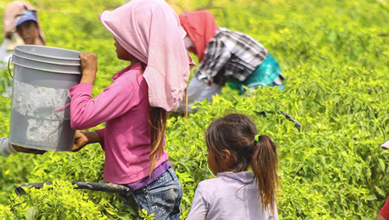 La Erradicaci N Del Trabajo Infantil Fue El Motivo De Una Reuni N La