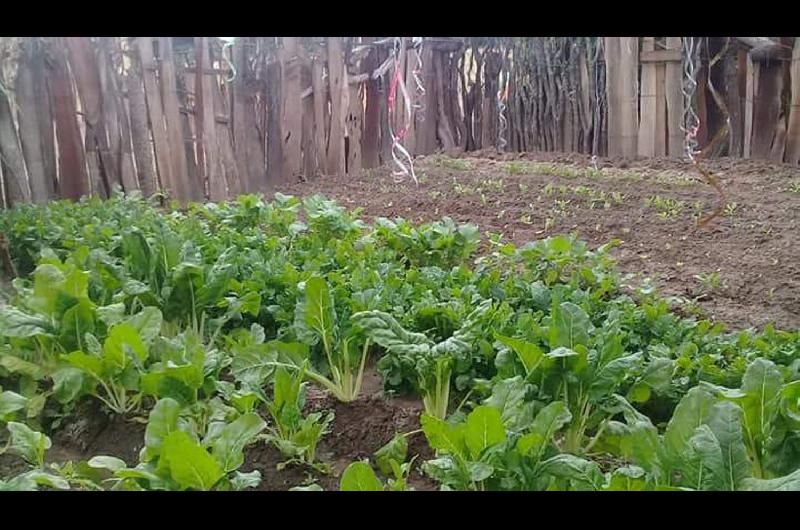 La Agricultura Familiar Como Motor Para Paliar La Dif Cil Econom A