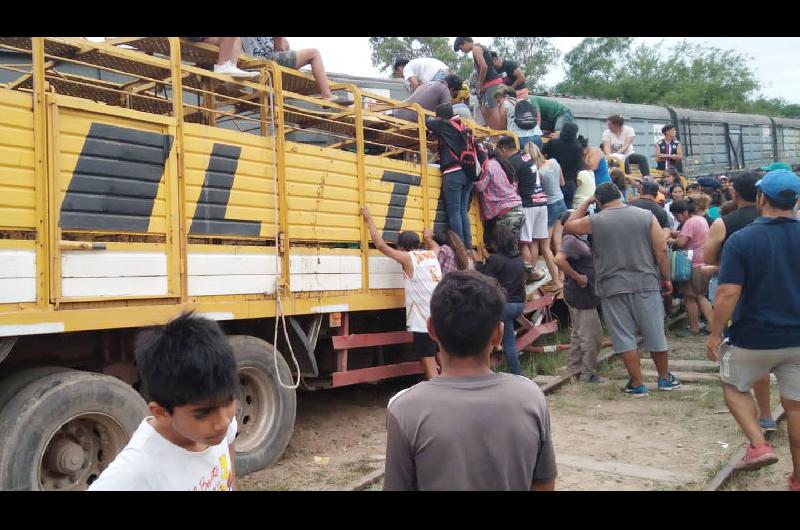 Un tren arrolló a un camión cargado con vacunos y los vecinos