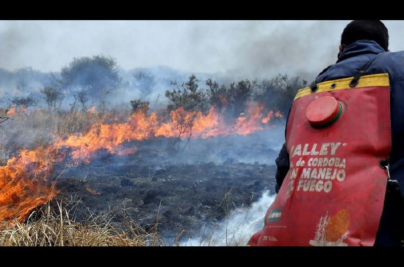 Seis Provincias Registran Focos Activos De Incendios Forestales Las