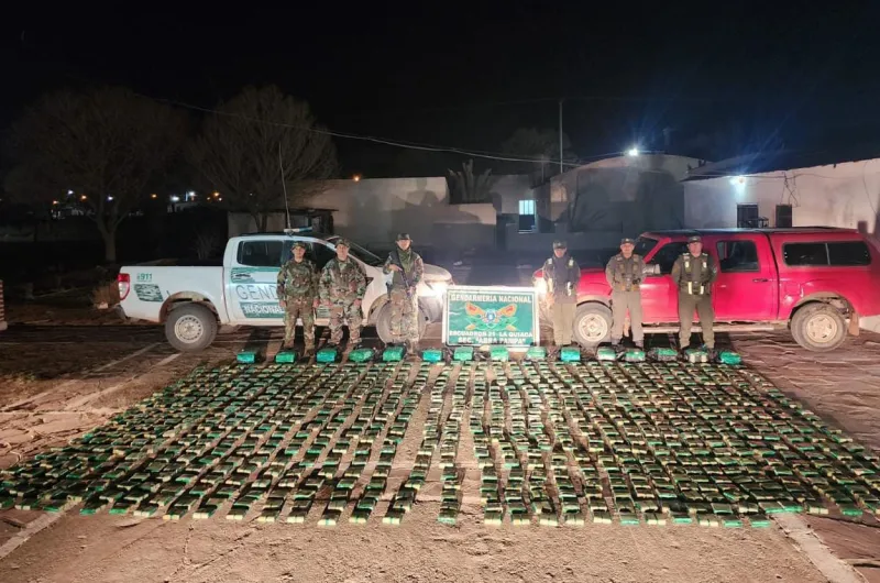 Gendarmería incauta 370 kilos de hojas de coca en estado natural