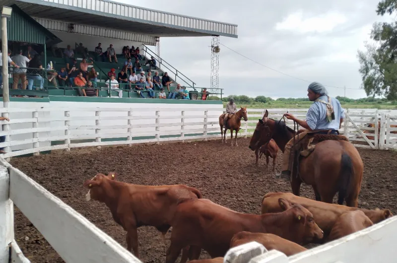 Se concretó una importante feria remate ganadera en Fernández