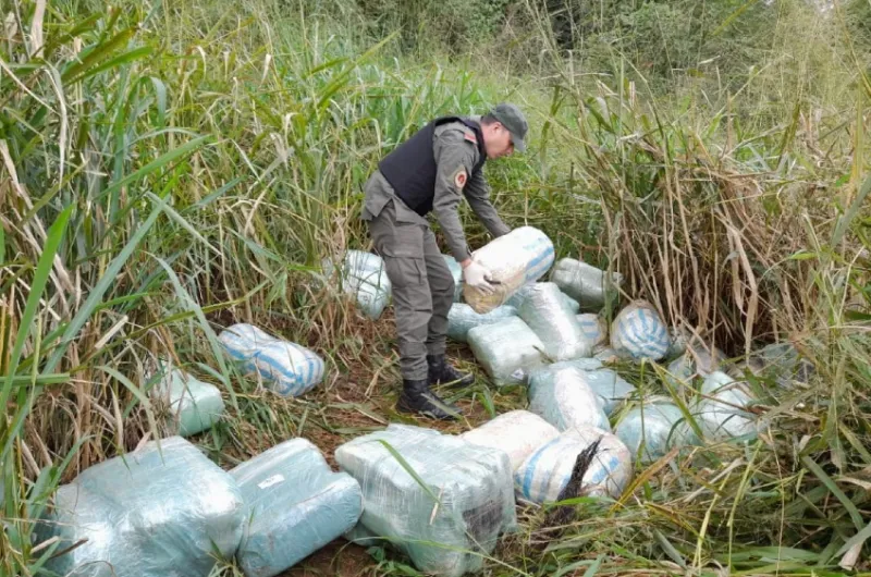 Gendarmes Hallan M S De Kilos De Droga En Una Zona Montuosa