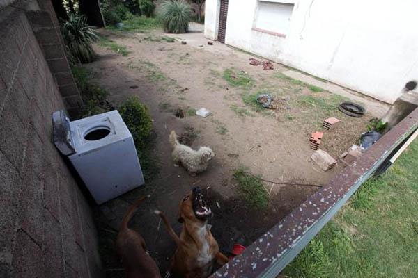 Las fotos de la casa de Estefaniacutea Heit donde Sonia vivioacute tres meses de abusos