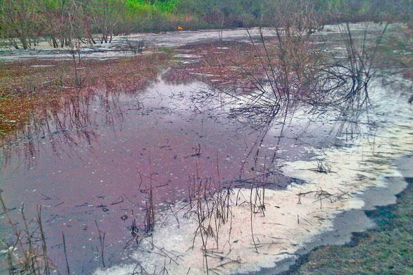 AMENAZA Millones de litros de vinaza mezclada con agua de lluvia se encuentran en reservorios próximos a la localidad de El Palomar y representan un riesgo para el equilibrio ecológico de la zona 