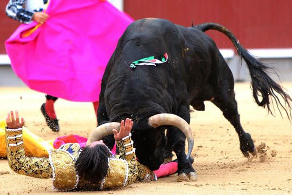 Toros hieren a tres matadores en sangrienta corrida