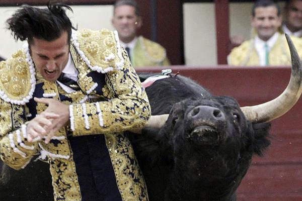 Toros hieren a tres matadores en sangrienta corrida