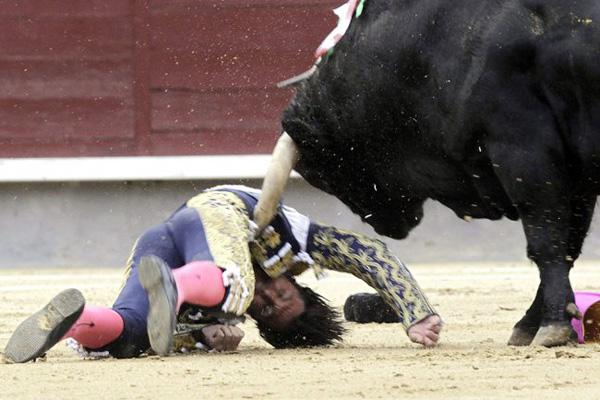 Toros hieren a tres matadores en sangrienta corrida