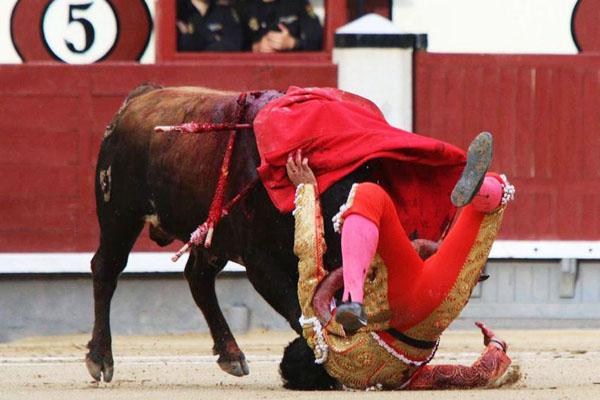 Toros hieren a tres matadores en sangrienta corrida