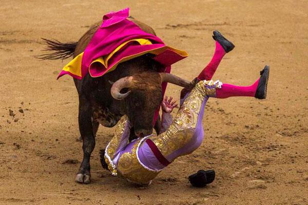 Toros hieren a tres matadores en sangrienta corrida