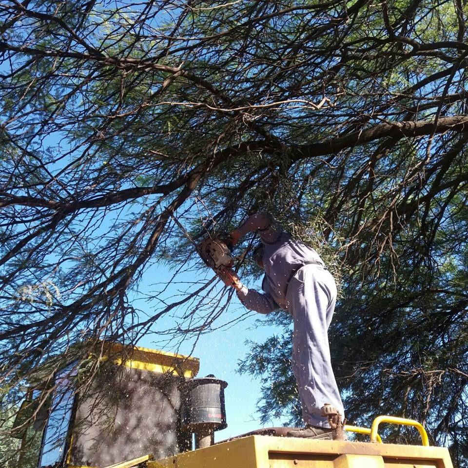 Operativos de limpieza en barrios de Monte Quemado