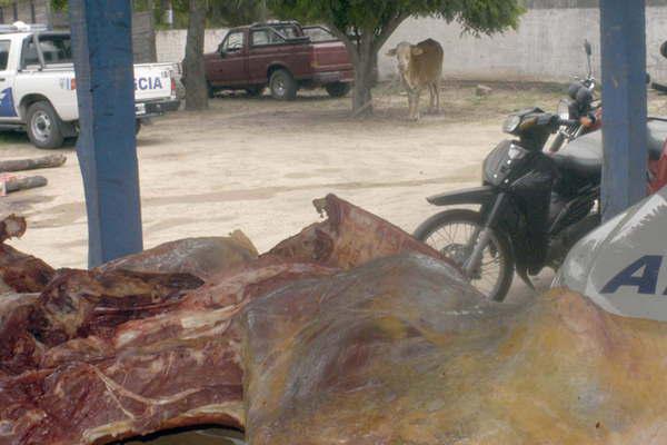 Sorprenden in fraganti a cuatreros faenando una vaca