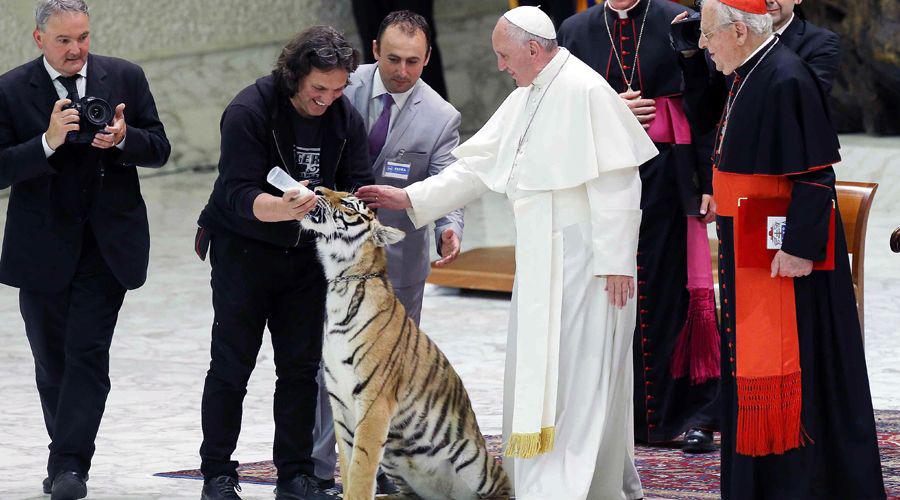 El Papa y el tigre