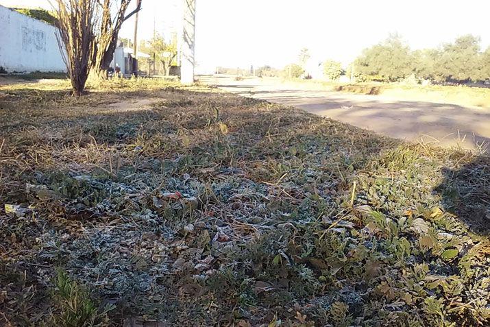 Primera helada del antildeo en el norte santiaguentildeo