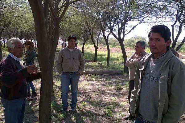 Graduados forestales dictaraacuten una jornada sobre agricultura familiar