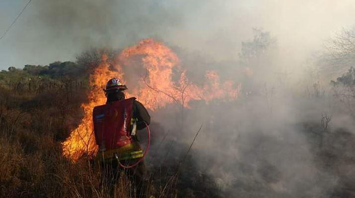 Incendio forestal al norte de Friacuteas