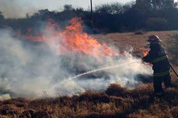 Incendio de pastizales movilizoacute a los bomberos 