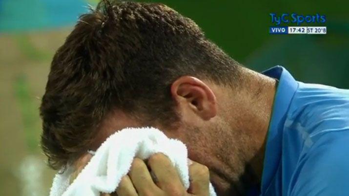 Del Potro ganó y lloró de emoción 