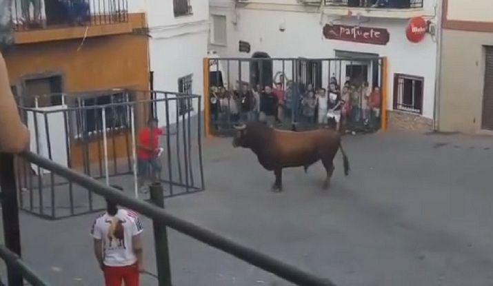 El impactante momento en que un toro rompe una jaula y ataca a un hombre