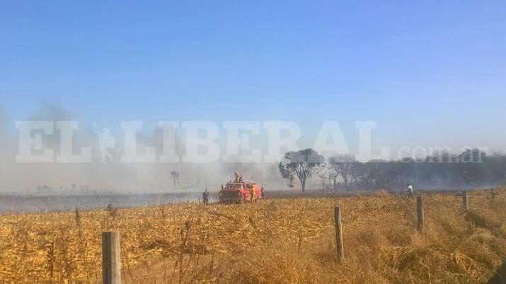 Los incendios forestales no dan tregua en Quimiliacute