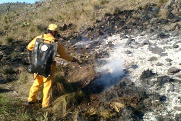 Brigada de Lucha contra Incendios Forestales alertoacute sobre los siniestros