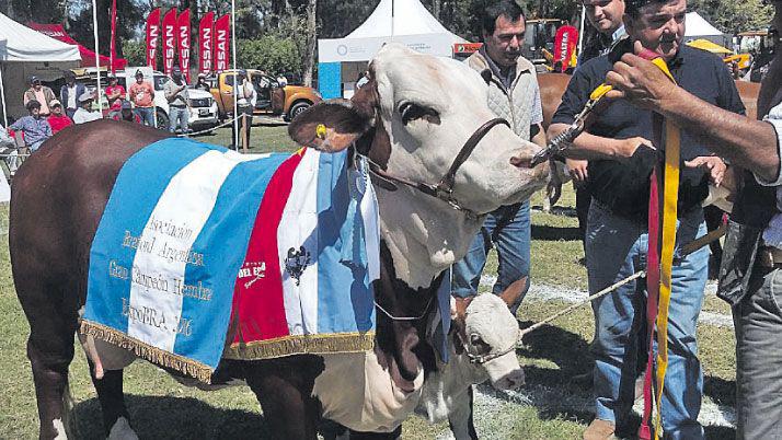 Arrancoacute la ExpoBra con varias cabantildeas locales que hicieron podio