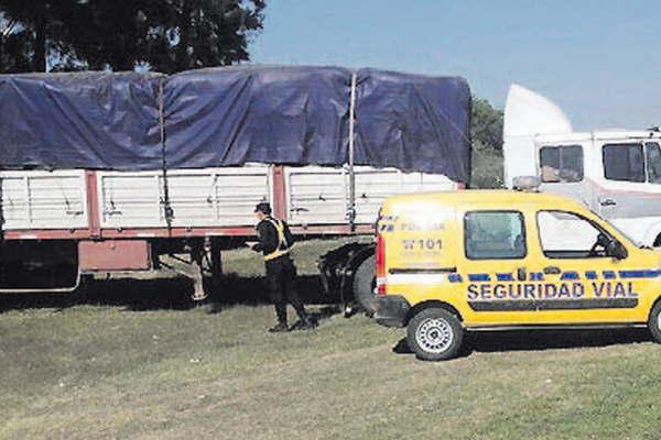 Secuestran maacutes de 21 toneladas de carboacuten