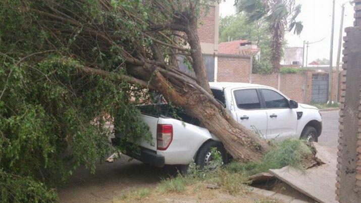 La tormenta generoacute graves dantildeos en provincia de La Rioja