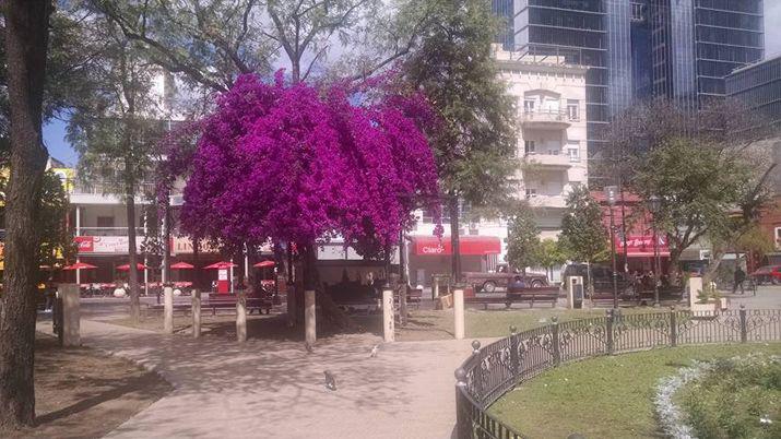 Viernes templado la antesala de un fin de semana con clima agradable