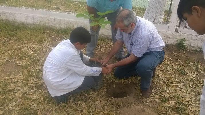 Nintildeos y joacutevenes plantaraacuten distintas especies en espacios puacuteblicos