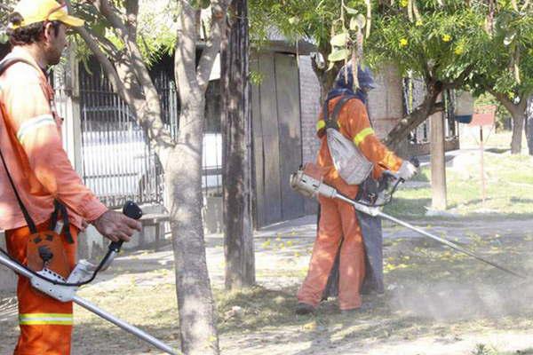 Efectuacutean intensos trabajos para prevenir el avance del dengue