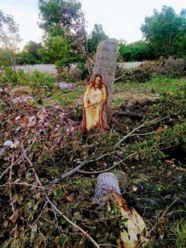 Sopresa en General Las Heras por la aparicioacuten de Jesuacutes