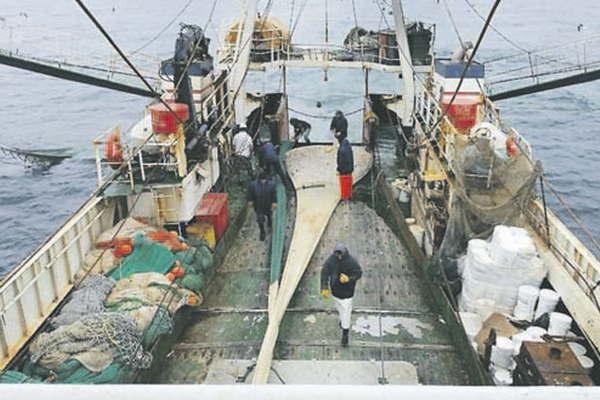 Se tiran al mar 140 mil  toneladas de pescado  fresco por antildeo