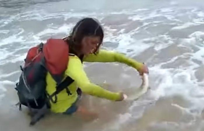 Saca un tiburoacuten del mar para sacarse una selfie y termina mal herida