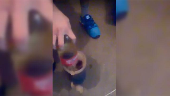 Presos denuncian que la policiacutea les cobra 300 para pasarles alcohol y drogas