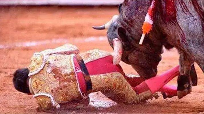 Un torero terminoacute con el esfiacutenter destrozado tras una cornada