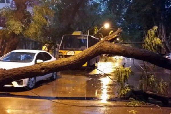 Un muerto y varios heridos es el saldo de un intenso temporal en Mendoza