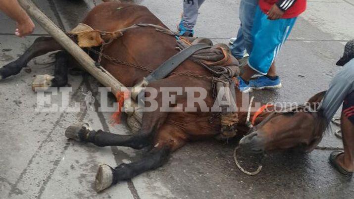 Cargaron tanto el carro que al caballo se le rompioacute una pata