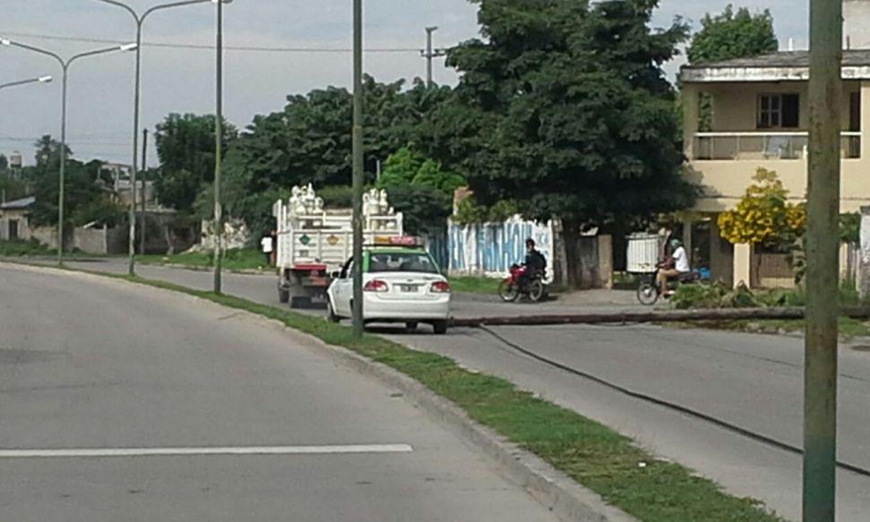 Camioacuten derriboacute postes de tv por cable y causoacute caos vehicular