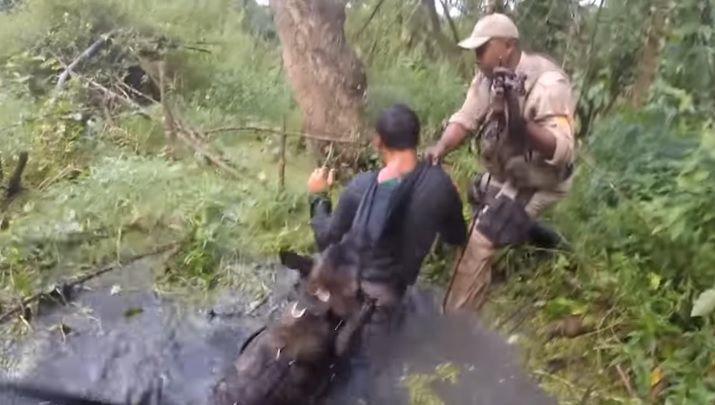 Brutus el perro policiacutea que es el terror de los delincuentes