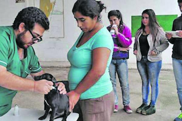 Rescataron tambieacuten alrededor de veinte perros y gatos