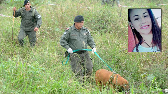 Uno de los perros est� herido (Foto- La Gaceta)