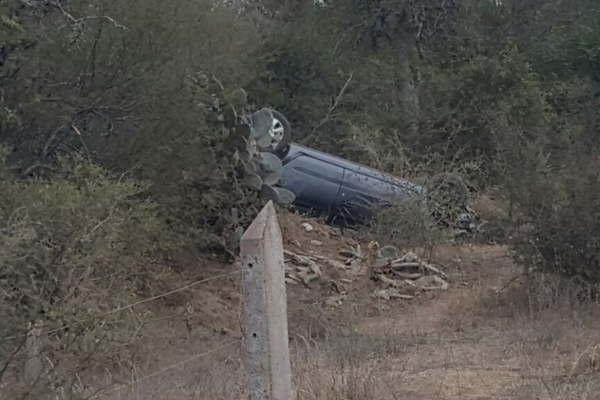 Caballo provocoacute vuelco de vehiacuteculo en la ruta 211 a la altura de Tipiro