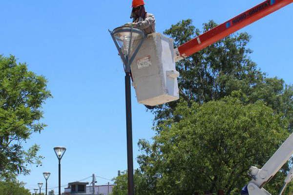 Siguen los trabajos de iluminacioacuten 