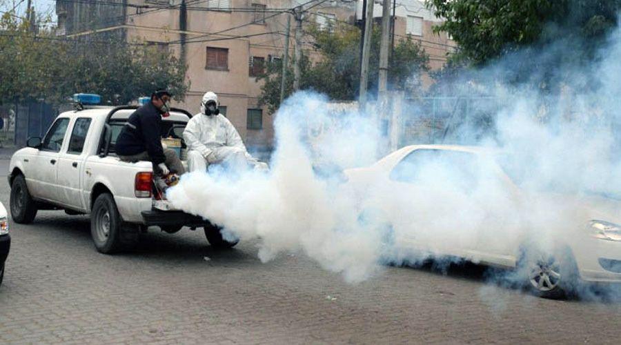 Por invasioacuten de mosquitos y ratas lanzan fumigaciones