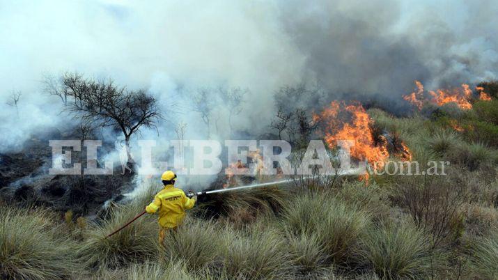 Impactantes imaacutegenes de voraz incendio en Ojo de Agua