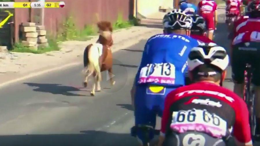 Una carrera de ciclismo tuvo un insoacutelito competidor