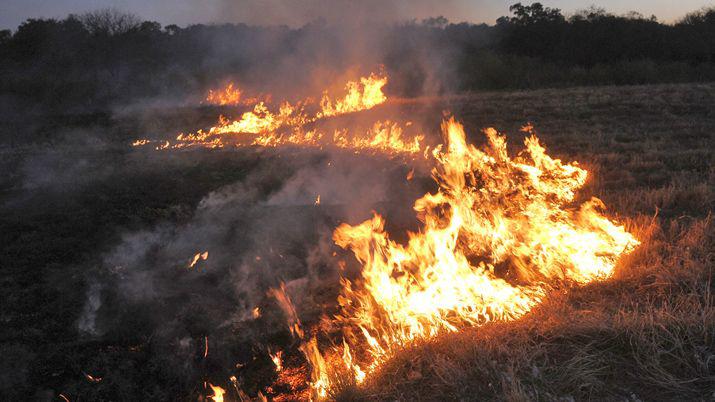 Preocupacioacuten- en la uacuteltima semana se registraron maacutes de 20 incendios